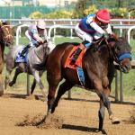 Baffert ‘Big Baby’ Salahudin Wins Iroquois in First Prep on Road to 2027 Kentucky Derby
